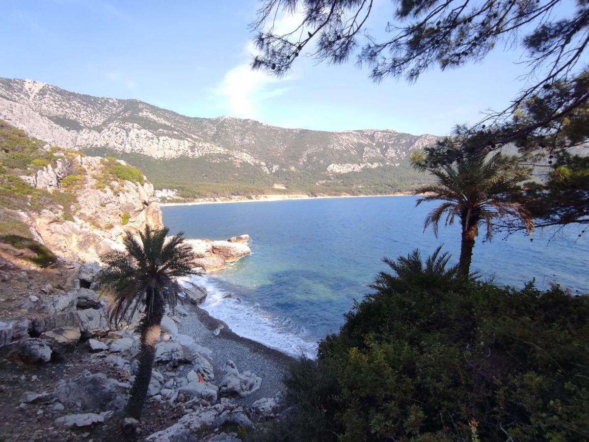 Karaoz Hurmalik Apart Evleri-Very Close To The Sea Large Garden Bungalow With Barbecue And Swing מראה חיצוני תמונה