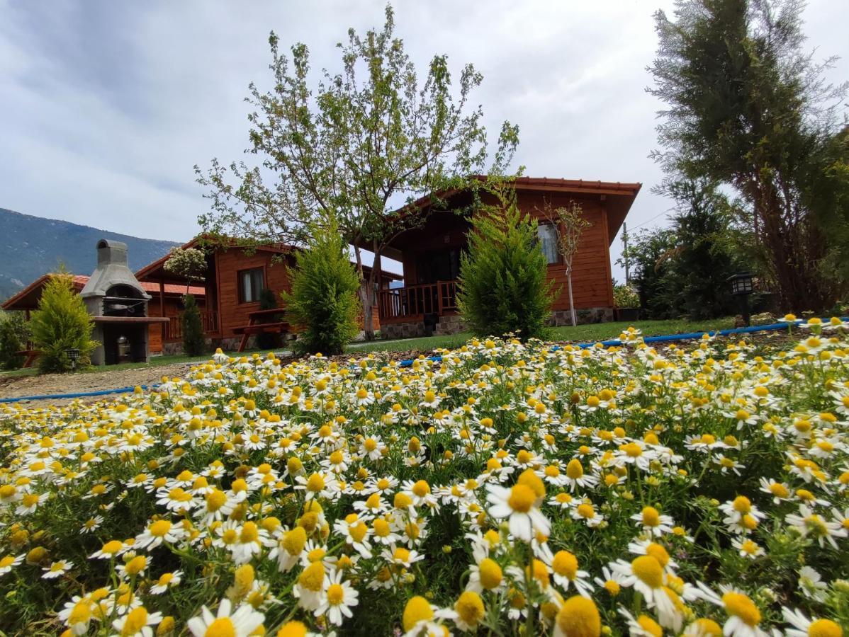 Karaoz Hurmalik Apart Evleri-Very Close To The Sea Large Garden Bungalow With Barbecue And Swing מראה חיצוני תמונה